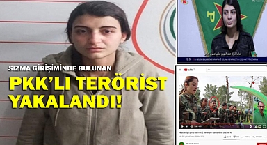 Suriye'den Türkiye'ye sızmaya çalışan PKK'lı kadın terörist yakalandı.