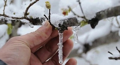 Çiftçilere zirai don uyarısı!