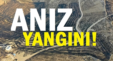 Anız yangınında bilanço ağırlaştı!