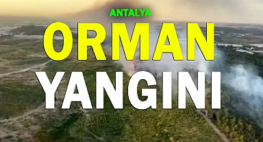 Antalya'da orman yangını!