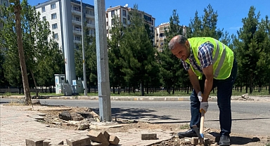 Diyarbakır'da Belediye çalışanı, 30 yıllık Gazeteciye sürgün!