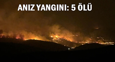 Diyarbakır ve Mardin arasında anız yangını: 5 ölü