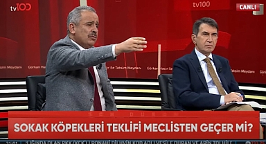 SAHİPLEN DEYİNCE