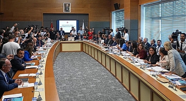 Sahipsiz hayvanlara yönelik kanun teklifinde ilk 3 madde kabul edildi
