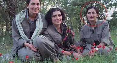 MİT'ten PKK'ya nokta operasyon