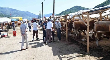 İl il kurban fiyatları belli oldu