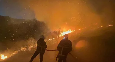 İzmir'de kaçak kazı yaparken orman yangını çıkardığı iddiasıyla 5 kişi tutuklandı
