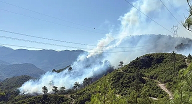 Antalya'nın 3 İlçesinde 5 Noktada Yangın
