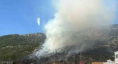 Bodrum’da maki yangını; AVM tahliye edildi