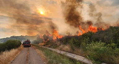 Çanakkale'deki orman yangınlarıyla ilgili 6 şüpheliye gözaltı