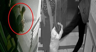 Çocuğuna tekme atarak hastanelik eden baba gözaltına alındı