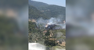 İzmir'de orman yangını: Müdahale ediliyor
