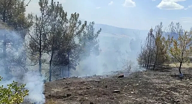Manisa'daki yangınlarda 2 hektar orman zarar gördü