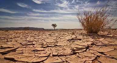 OECD: Kuraklığın insani ve ekonomik maliyeti artıyor