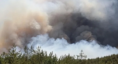 Sakarya'da Orman Yangını 2'inci gününde; Bilecik'e Sıçradı