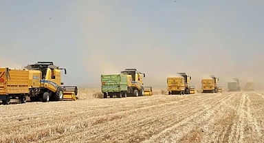 TMO, hububat alım fiyatlarını açıkladı