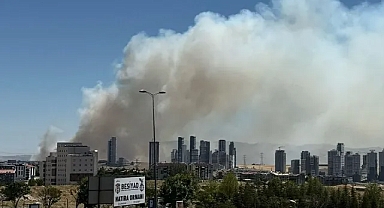 Ankara’da orman yangını çıktı