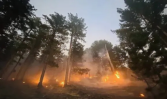 Bakan Yumaklı Açıkladı: Orman Yangınlarında Son Durum Ne?