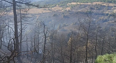 Bursa Harmancık'ta dumanlar yeniden yükseliyor