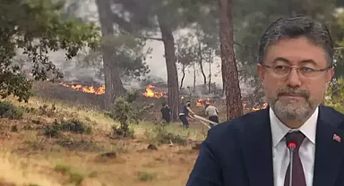 Bakan Yumaklı Açıkladı: Bursa Ve Karabük'teki Orman Yangınlarında Son Durum Ne?