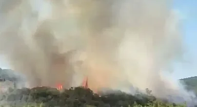 Sultangazi Kent Ormanı'nda yangın