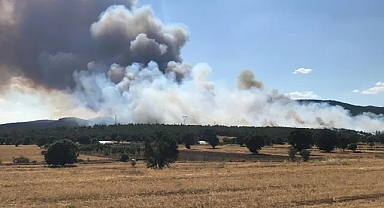 Uşak'ta orman yangınına neden olan 2 kardeş tutuklandı