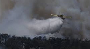 3 İlde Orman Yangını: Çanakkale'de Bir Köy Tedbiren Boşaltıldı