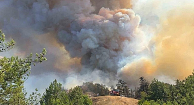 4 İlde Orman Yangını: Rüzgarın Etkisiyle Alevler Büyüyor