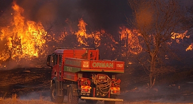 6 İlde Orman Yangını: Alevlerle Mücadele Sürüyor