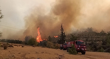 Hatay Ve Mersin’de Orman Yangını; 8 Mahalle Boşaltıldı, 2966 Kişi Tahliye Edildi
