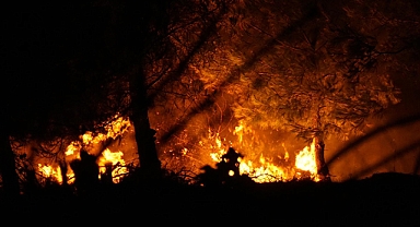 İzmir Buca’da Orman Yangını: Valilikten Vatandaşlara Uyarı