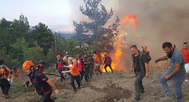 Karabük'te Ormanlık Alanda Yeniden Yangın Çıktı: Bir Köy Boşaltıldı