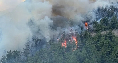 Karabük'te Ormanlık Alanda Yeniden Yangın Çıktı; Müdahale Sürüyor