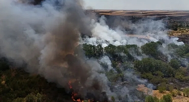 Kırklareli'nde Ağaçlık Alanda Yangın: Avrupa Otoyolu Trafiğe Kapatıldı