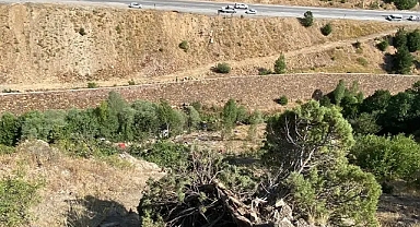 Sivas'ta Fındık İşçilerini Taşıyan Minibüs Uçuruma Yuvarlandı: 3 Ölü, 18 Yaralı