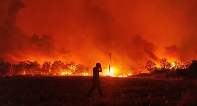 Türkiye Ve Yunanistan’daki Orman Yangınlarının Nedeni Ne?