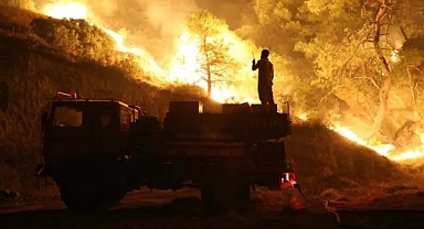 Denizli Ve Aydın'da Orman Yangını: 2 Mahalle İle Bir Hastane Boşaltıldı