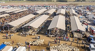 Eskişehir'de şap hastalığı vakası: Hayvan pazarı kapatıldı