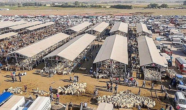Eskişehir'de şap hastalığı vakası: Hayvan pazarı kapatıldı