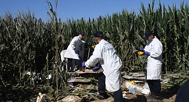 İzmir'de Eğitim Uçağı Düştü: 1 Pilot Hayatını Kaybetti