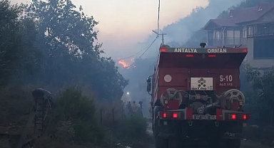 Muğla Ve Antalya’da Orman Yangını: Yerleşim Yerleri Tahliye Edildi