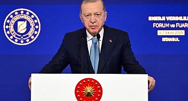 Cumhurbaşkanı Erdoğan: Doğal Gaz Almak Bakkaldan Gazoz Almaya Benzemez