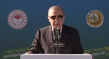 Cumhurbaşkanı Erdoğan: Fidan Dikme Rekoru Kıracağız