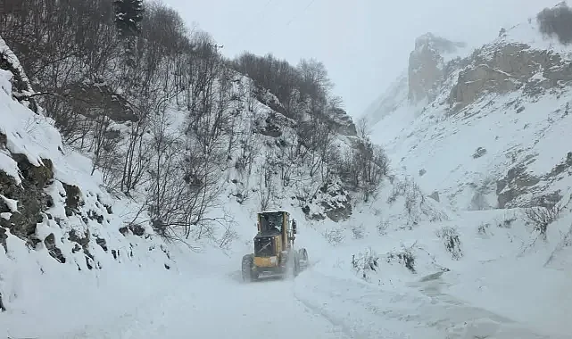 Artvin'de Çığ Meydana Geldi: 3 Çoban Mahsur Kaldı