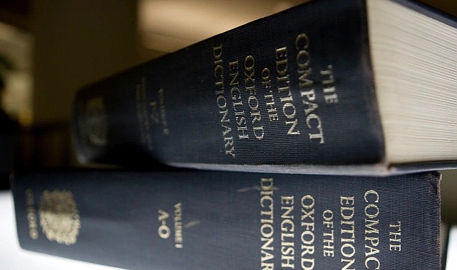 Oxford Sözlüğü yılın kelimesini seçti: Öfke yemi
