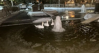 Ankara'nın Simgelerinden Kuğulu Park'taki Havuz Buz Tuttu