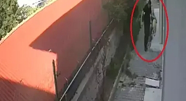 Köpeklere Cinsel İstismarda Bulunup Öldüren Doktor Hakkında Karar