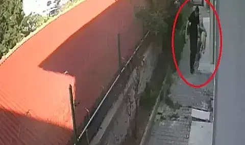 Köpeklere Cinsel İstismarda Bulunup Öldüren Doktor Hakkında Karar