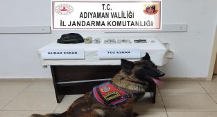 Adıyaman’da Bahçeye Gömülü Uyuşturucu Ele Geçirildi