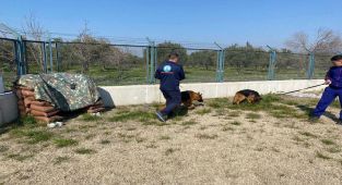 Alman çoban köpekleri Akhisar Cezaevi’ni koruyacak